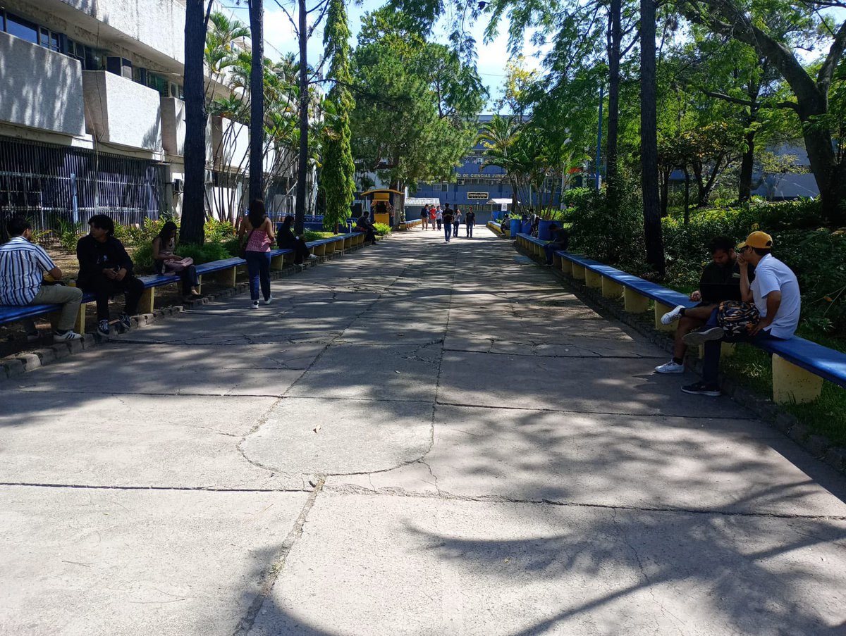 UNAH_Rectoria's tweet photo. Así lucen los espacios de la mejor universidad del país, la @UNAHoficial. ¡Se respira un ambiente académico de paz y tranquilidad! Son mas de 80 mil estudiantes, es decir, 30 mil más que cuando nos tocó asumir en 2024. Más de 30 carreras nuevas, mejoramiento de espacios y habilitación de espacios comunes. #LaNuevaHistoriaSigue