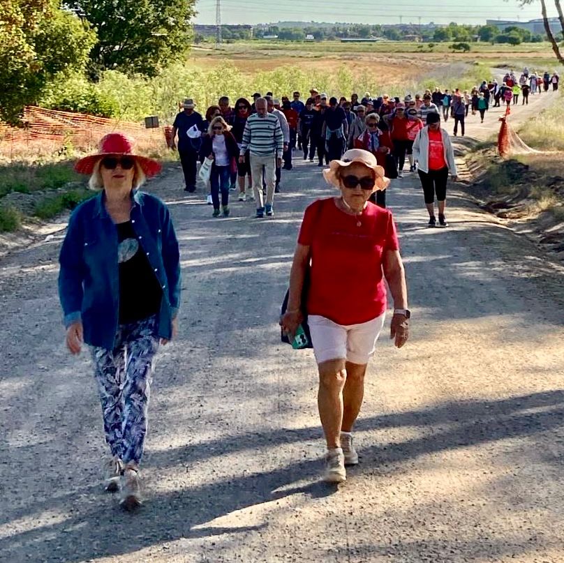 AytoPinto's tweet photo. 🚶♂️🫓Este martes los mayores de Pinto han disfrutado de la 'Romería de la Tortilla'
El tiempo ha acompañado en una ruta divertida hasta el Campo de Tiro, donde han podido degustar una deliciosa tortilla. Una tradición muy querida en nuestra ciudad😎
#Pinto #Mayores #MayoresPinto https://t.co/WFwwaf8h56