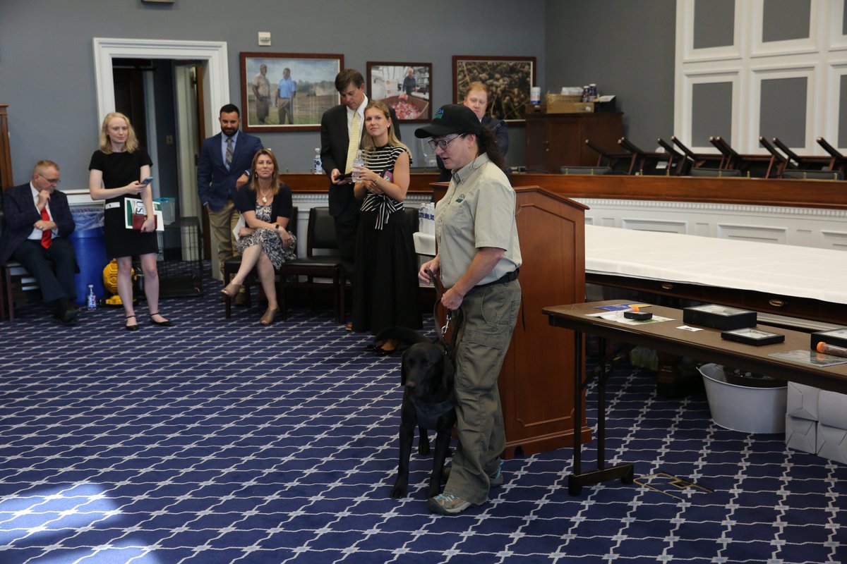 RepDavidValadao's tweet photo. It was an honor to host representatives from the USDA Animal and Plant Health Inspection Service for a detector dog demonstration.

Detector dogs like Freddie and Gonzo are specially trained to identify prohibited agricultural products hidden in luggage and cargo before they enter the United States. Their work helps protect American agriculture by preventing the spread of invasive insects, parasites, and plant diseases—including threats like New World screwworm.

Thank you, Beagle Brigade!