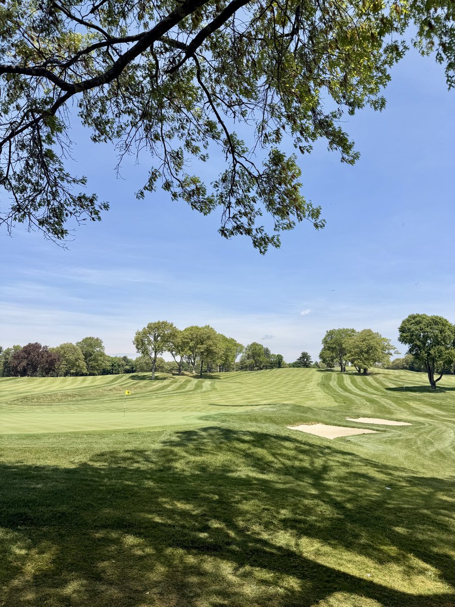Max’s Golf Quest tweet media