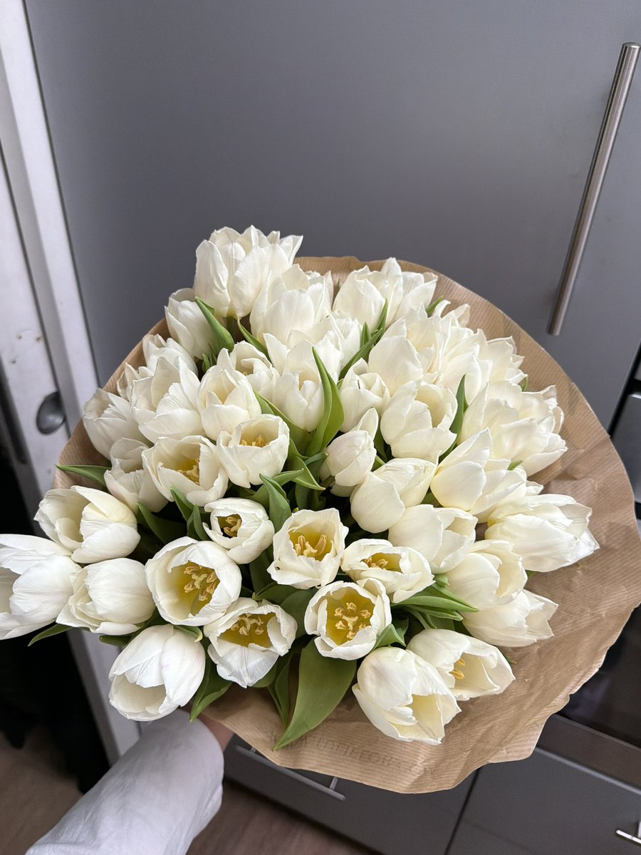 esroushh's tweet photo. tulipe et lys https://t.co/B7lKmCOIVk