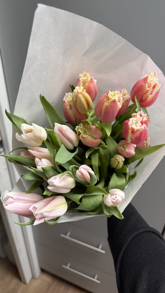 esroushh's tweet photo. tulipe et lys https://t.co/B7lKmCOIVk