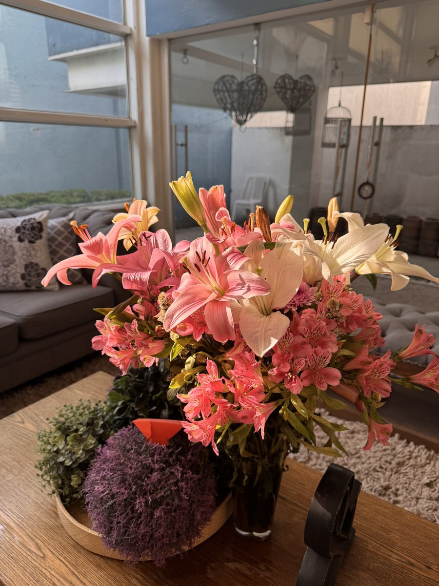 allyouneedslove's tweet photo. Mis flores del Día de las Madres siguen hermosas ❤️❤️
Las presumo https://t.co/miiyjoQIUR