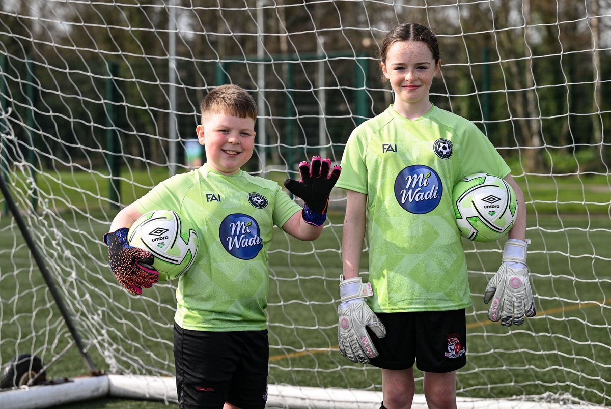 FAIreland tweet media