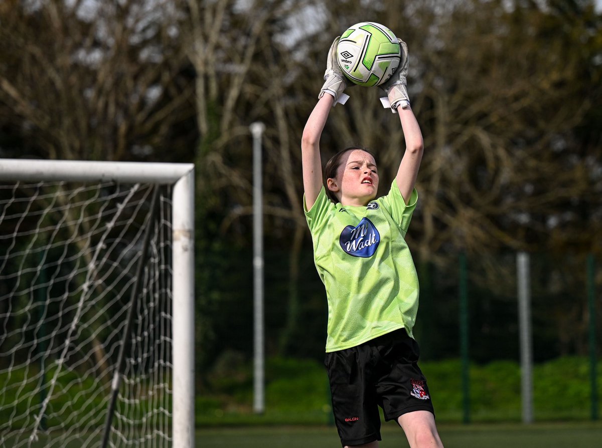 FAIreland tweet media
