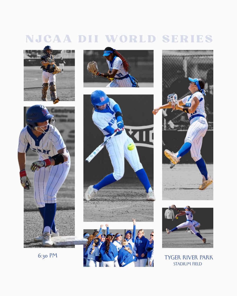 MSC Softball tweet media