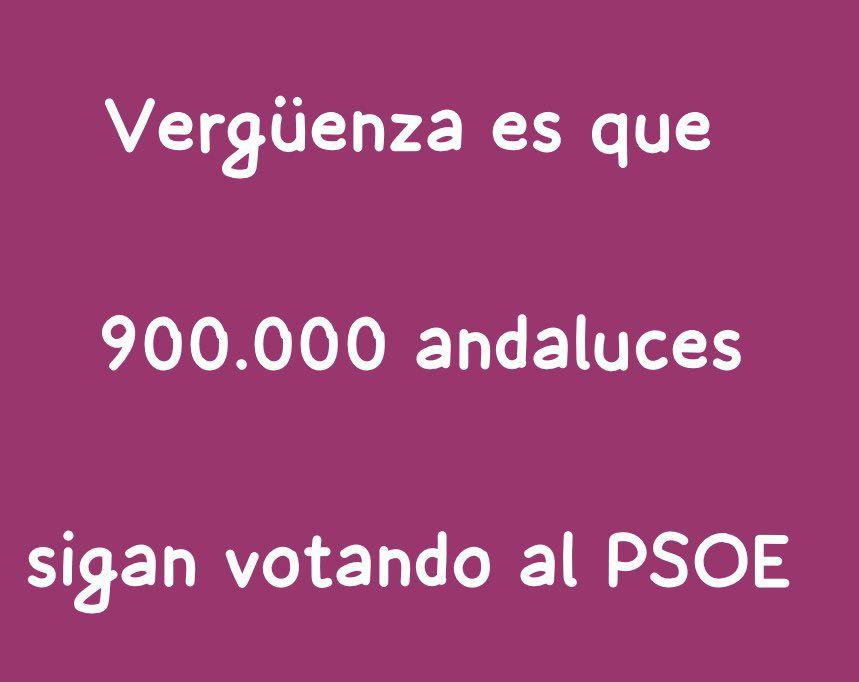 Tonelete tweet media