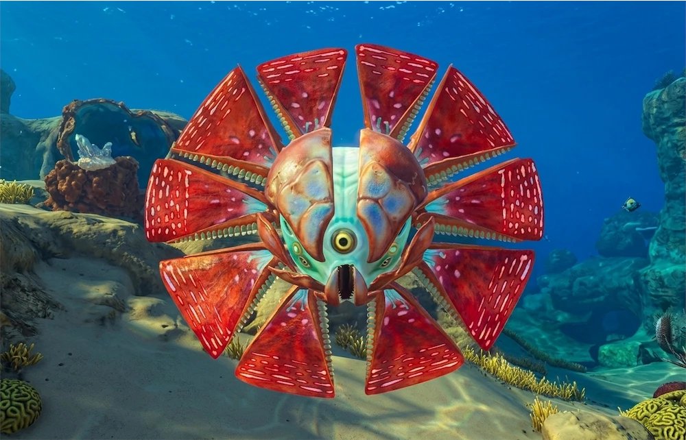 HAMMERHEAD tweet media