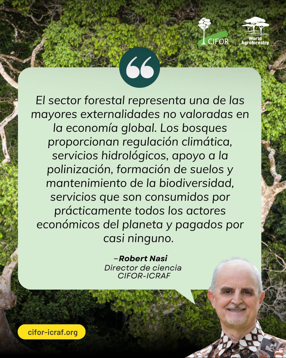 LandAllianceLAC's tweet photo. 🌳 “Los bosques son la infraestructura oculta de la estabilidad planetaria”.
Robert Nasi analiza cómo bosques y agroforestería pueden ayudar frente a la policrisis global, regulando clima, agua y biodiversidad mientras sostienen medios de vida.
👉 https://t.co/j9r9tQ3Xlh https://t.co/9k4RTuXuuG