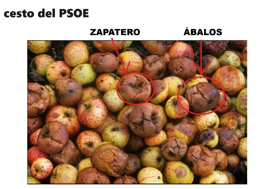 algeteño filósofo tweet media