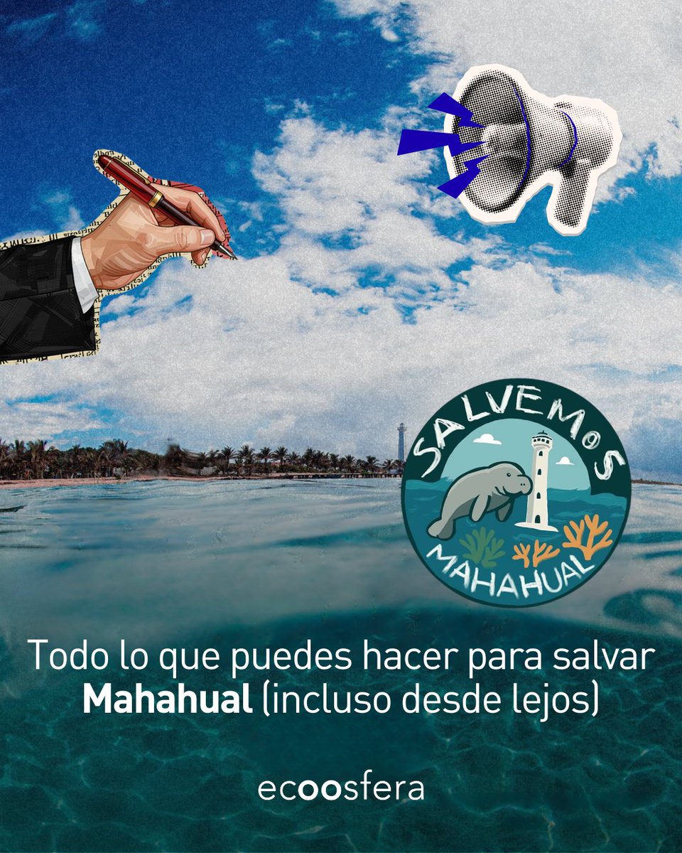 ecoosfera tweet media