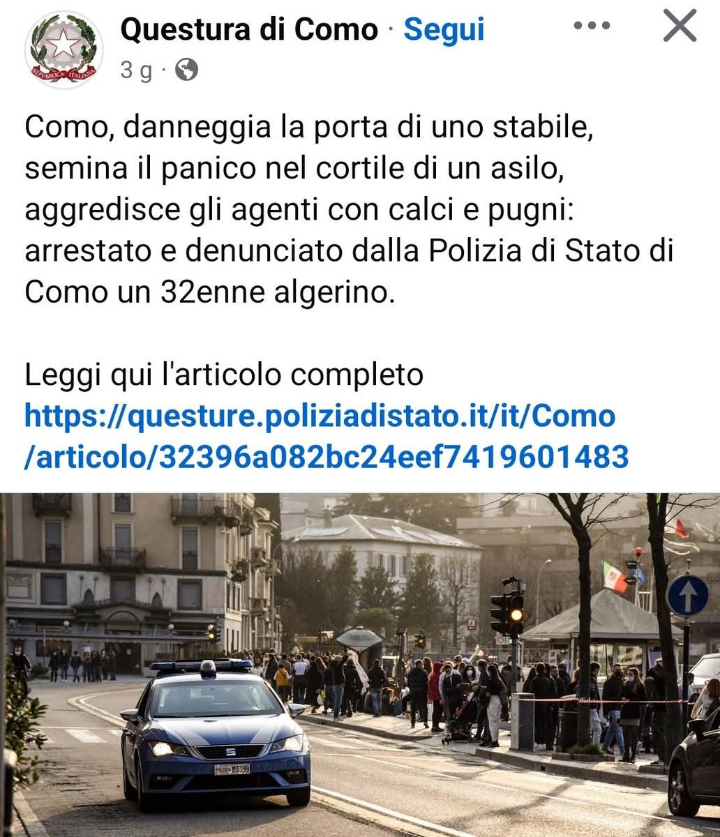 Max Ferrari tweet media