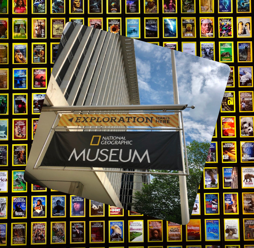 ColCapTours's tweet photo. The #NationalGeographicMuseum reopens June 26 in #WashingtonDC New exhibits bring science, wildlife, exploration &amp; more to life through immersive storytelling and photography - a worthwhile stop for #studentgroups #StudentTravel #NationalGeographic #moe #studenttravel https://t.co/XH32WyMLVa