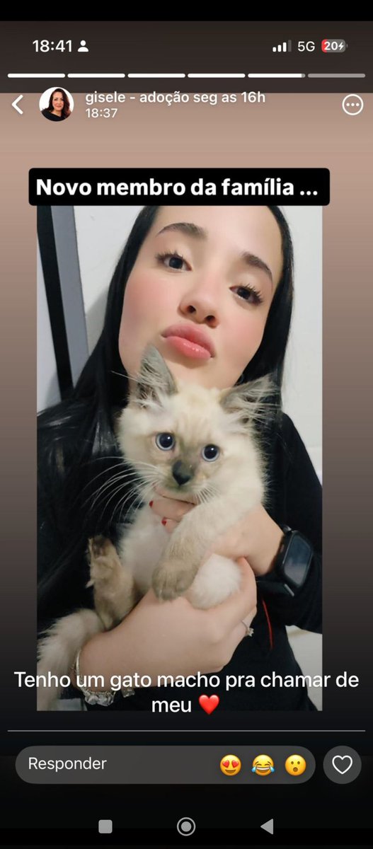Rodrigo Gateiro 🐈 tweet media