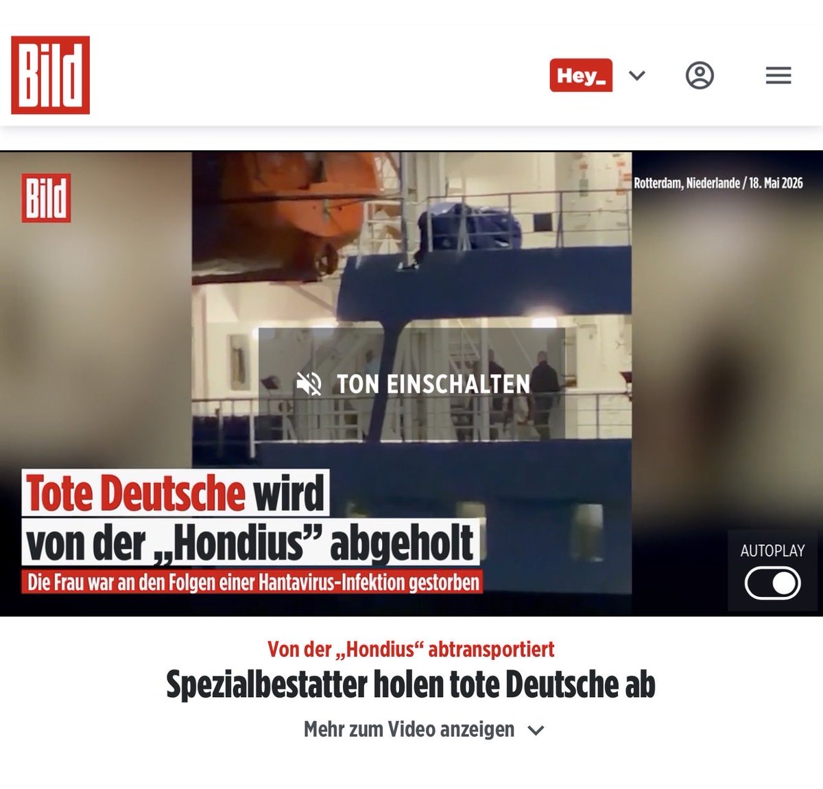 FrauHodl tweet media