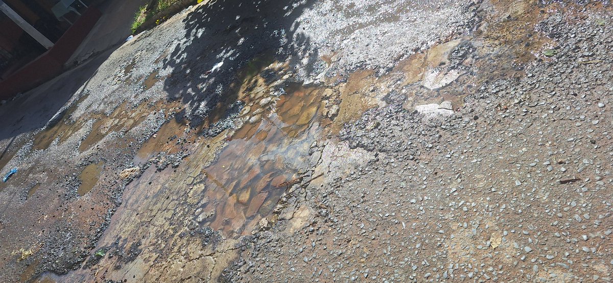 ohmaram10's tweet photo. @LuiferBernal @EssapSA 
Cada día es más grande la perdida de agua potable sobre Roque 
Gonzalez de Santa Cruz casi Tte Rojas Silva/ Fernando zona sur y no es la única rotura de caño , hay varios a lo largo de la calle. https://t.co/vz0PNe39sM
