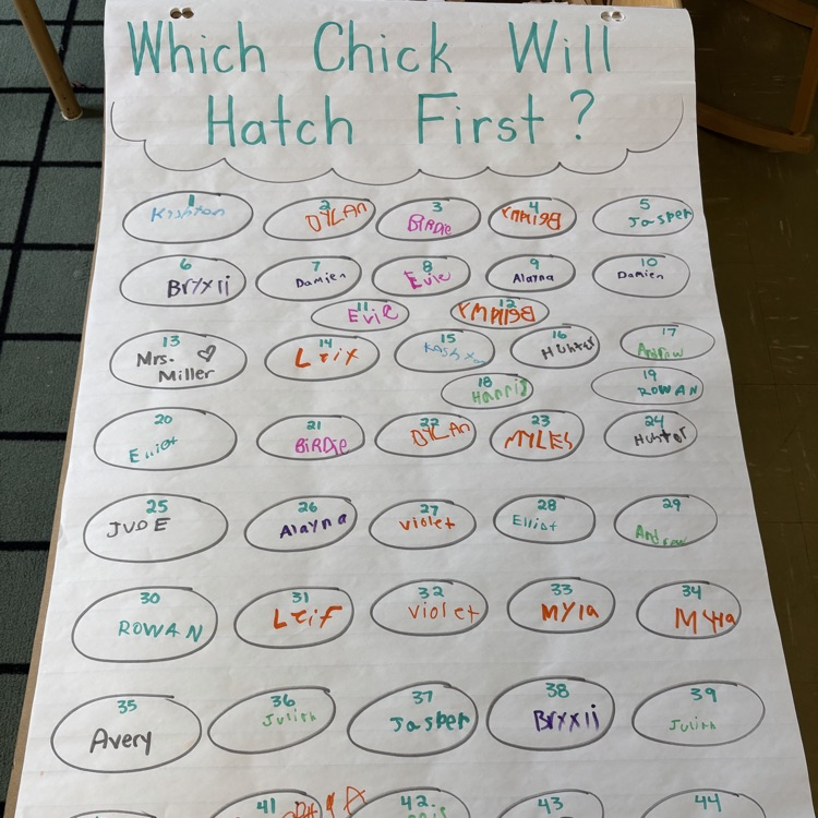 WhiteshellSD's tweet photo. VERY exciting day in Grade 1/2…our 48 eggs have arrived. ❤️🎉🎉🎉They’re tucked safe and sound into our incubator. And now we learn everything we can and wait for 21 days….😁 https://t.co/yoJeQKOyNb