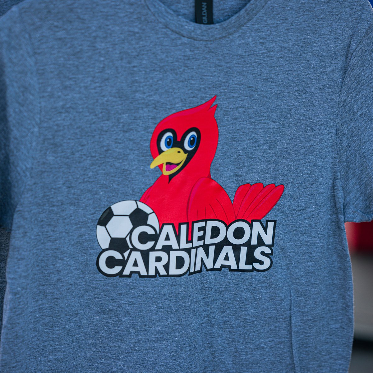 CaledonSC's tweet photo. It is almost time for our entire Cardinal program to be in World Cup gear!

We cannot wait to see all of the players on the pitch ⚽

#UnitedAsOne #Countdown #CaledonSoccer https://t.co/Y3tcr9XAxW