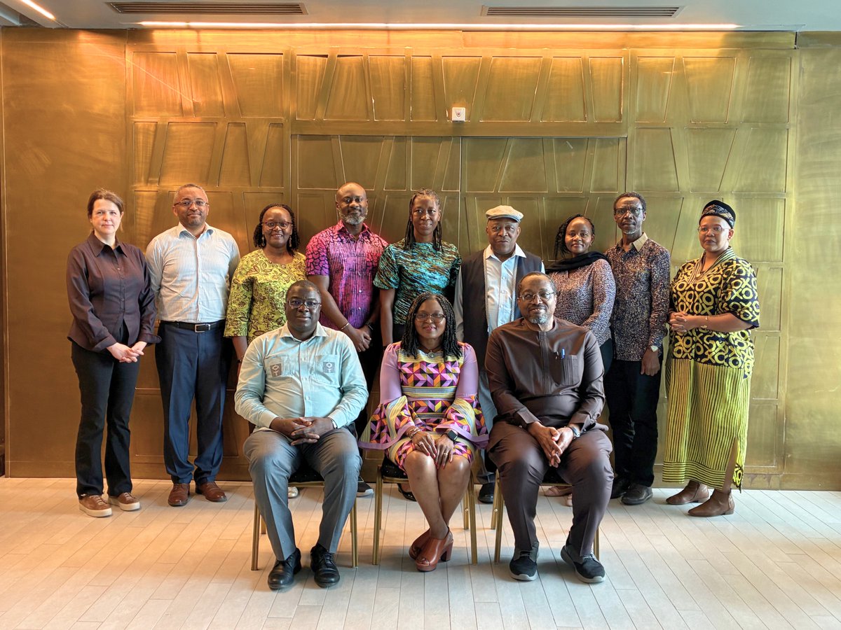 African Peacebuilding and Developmental Dynamics tweet media