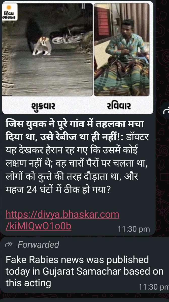 Dilthi Gujarati tweet media