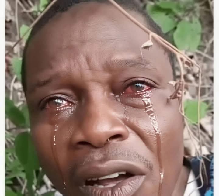 Bossoye2's tweet photo. Last words of one of the kidnapped victims.

“Oyedokun M. O. I’m a teacher at Community High School, Ahoro-Esinle Community in Oriire LGA.”

A dark and heartbreaking day for his family. He was beh@aded 

He didn’t just die in pain; he died carrying the helplessness, frustration, https://t.co/BJ68Dk02tO