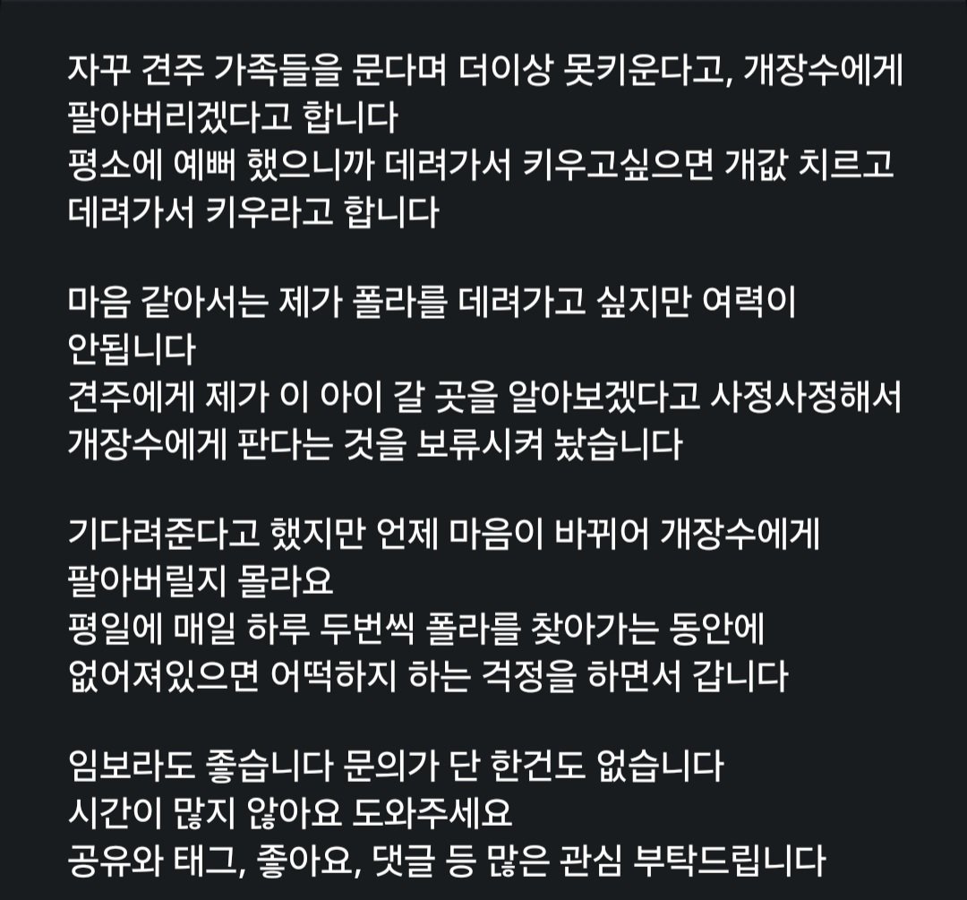 animalrtaccount's tweet photo. 방치견 폴라 임보,입양처 찾습니다 임보시 사료 지원합니다 패드는 실외배변인지 실내배변인지 확실하지 않아서 우선 보류할게요! 견주가 방치하고는 개장수에게 판다는걸 사정사정해서 보류한 상태이고 언제 견주가 맘바뀔지몰라요
인스타 miracle_polar 카톡kittydoggy1 https://t.co/fiOvz8jcB0