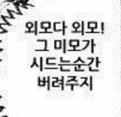 농부🌴 tweet media