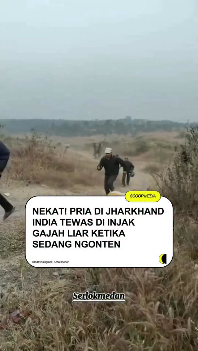 AnaPortrait's tweet photo. Ngeri sih asli liatnya, di geprek langsung .. https://t.co/CkHEzwXQ4q