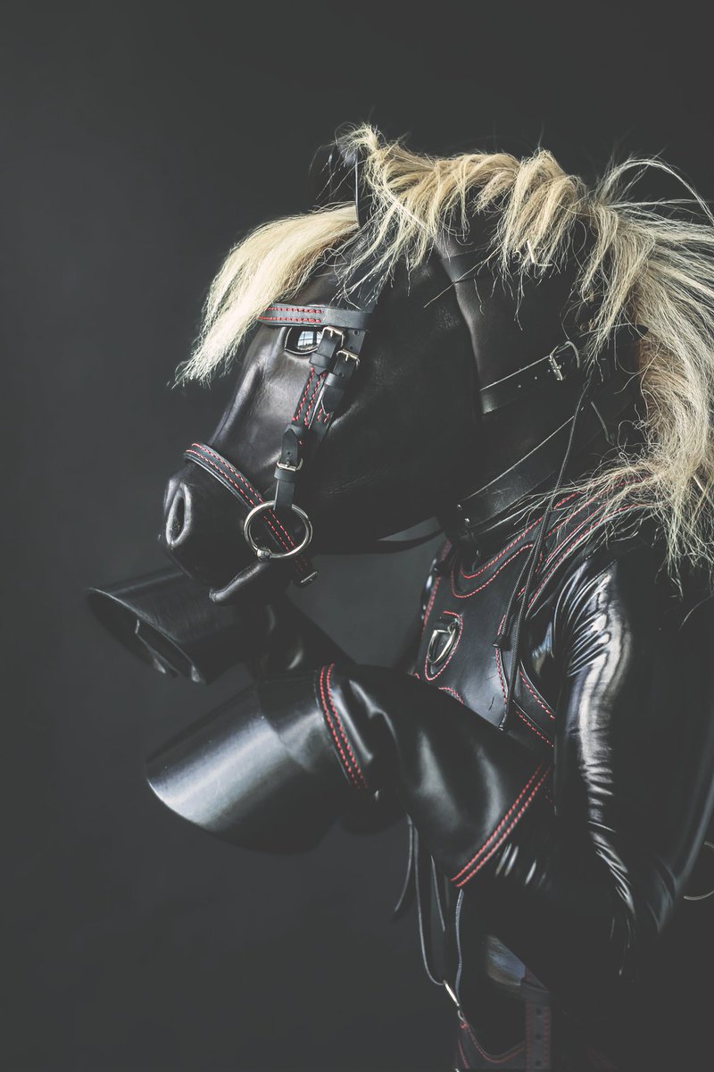 Equus Signum tweet media