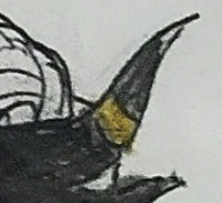 a clam tweet media