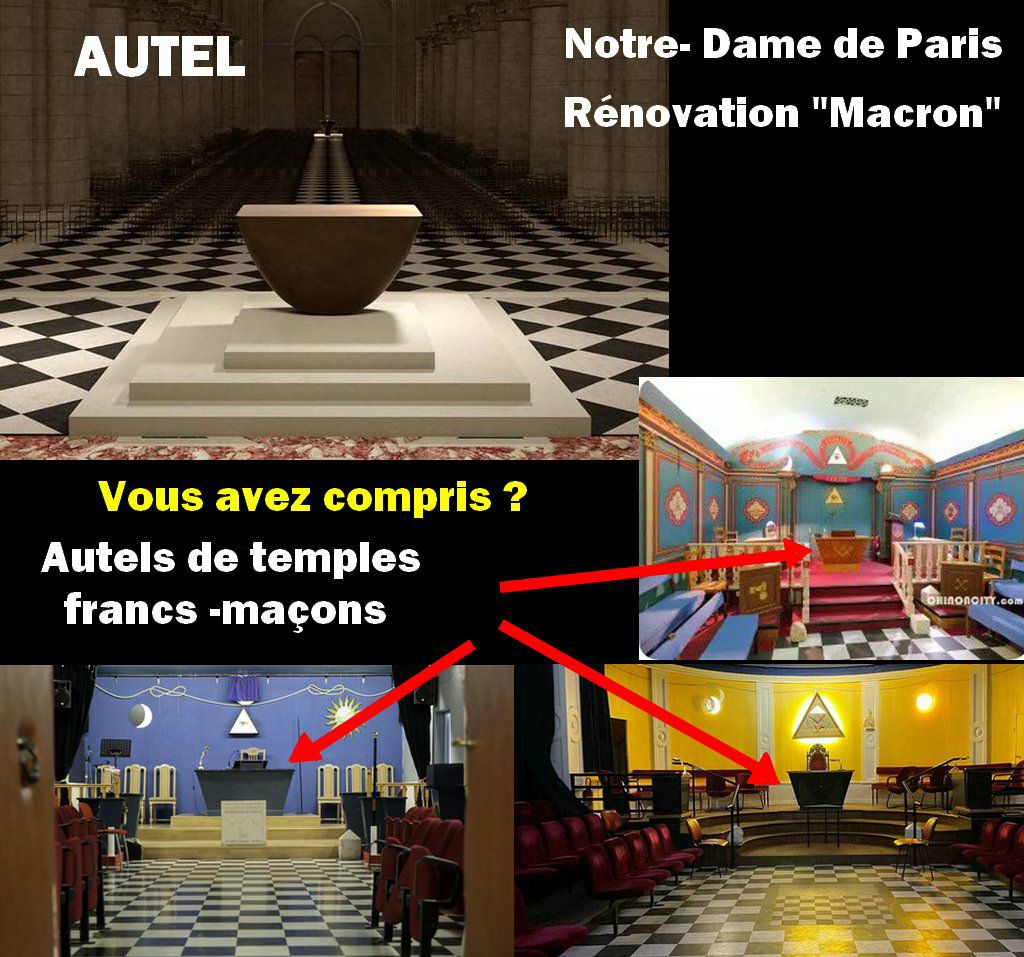🇨🇵Nathalie Delalande🌿 tweet media
