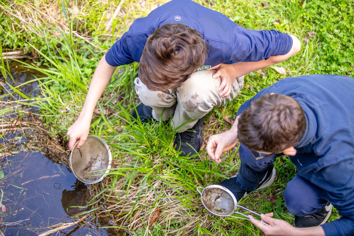 fhcds's tweet photo. Grade 7 turned the on-campus pond into a real-life science lab, testing water quality and discovering what’s going on beneath the surface. From tadpoles to dragonfly nymphs, students explored the pond’s tiny ecosystem and what it can tell us about environmental health 🌿🔬💧 https://t.co/UN3Vrj4BoC