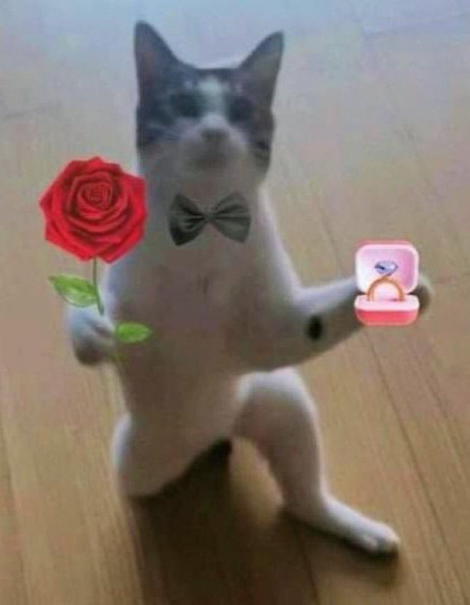 Dickson🧢♑ tweet media