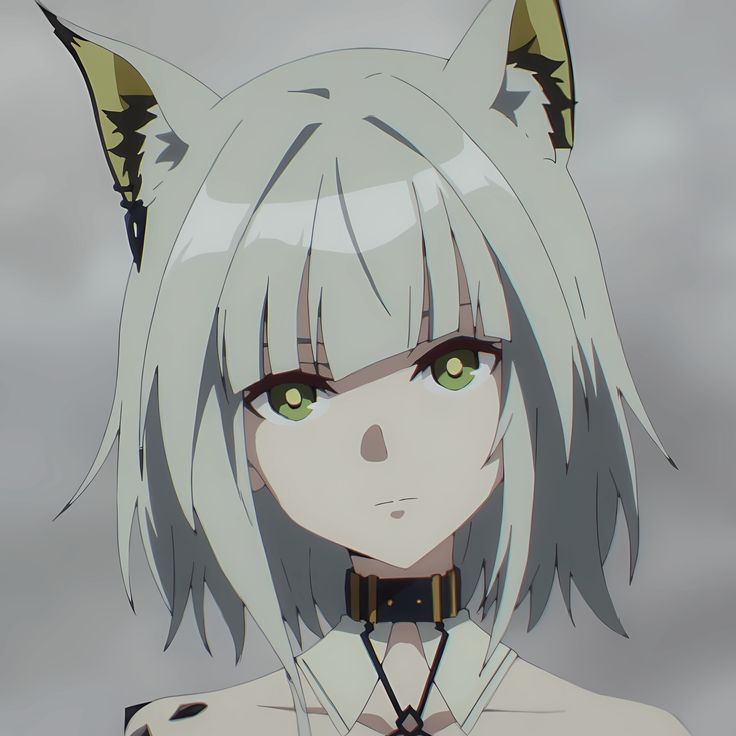 ミ★𝙏𝙝𝙤𝙬★彡 tweet media
