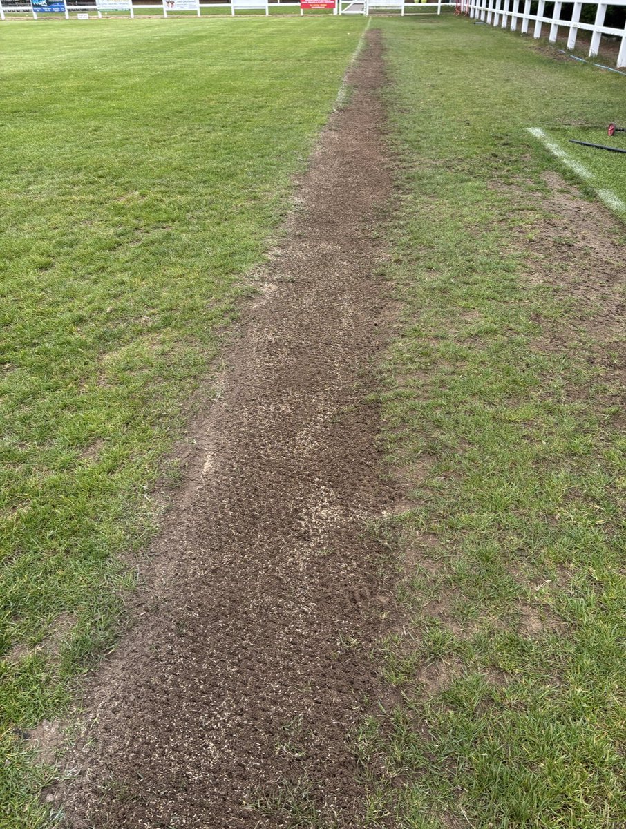 Groundsman Wes tweet media