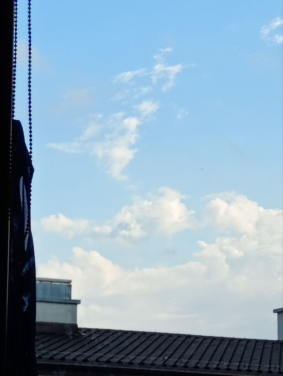 ArtemBodnar7's tweet photo. I found Spamton in Sky lol :) #UTDR #Spamton #Deltarune https://t.co/hDdu3ImYRf