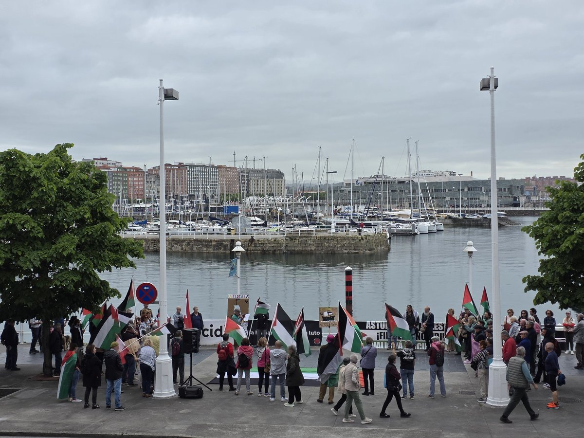 IU Xixón 🔻🇵🇸 tweet media
