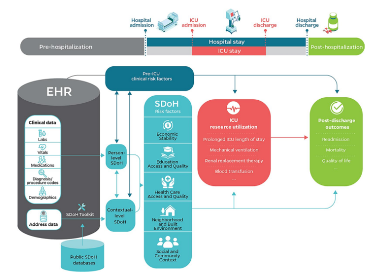 UFprismap's tweet photo. Social determinants of health, like economic instability and social vulnerability, are strongly linked to worse ICU outcomes and higher mortality, highlighting the need to address health inequities in critical care. 

Read more: https://t.co/oFqFwDEnL8 https://t.co/vVOAKgBJdc