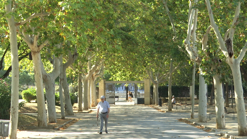 lhdigitalh's tweet photo. #EquipamentsLH L'Ajuntament presenta el 🌳Parc de l’Alhambra com la opció viable per al nou Poliesportiu de Santa Eulàlia 🏊‍♂️.

L'equip de govern fa públiques les conclusions de l'informe tècnic que ha analitzat els tres emplaçaments possibles.

👉https://t.co/0JtfERpcyW https://t.co/7lWdUugqqV