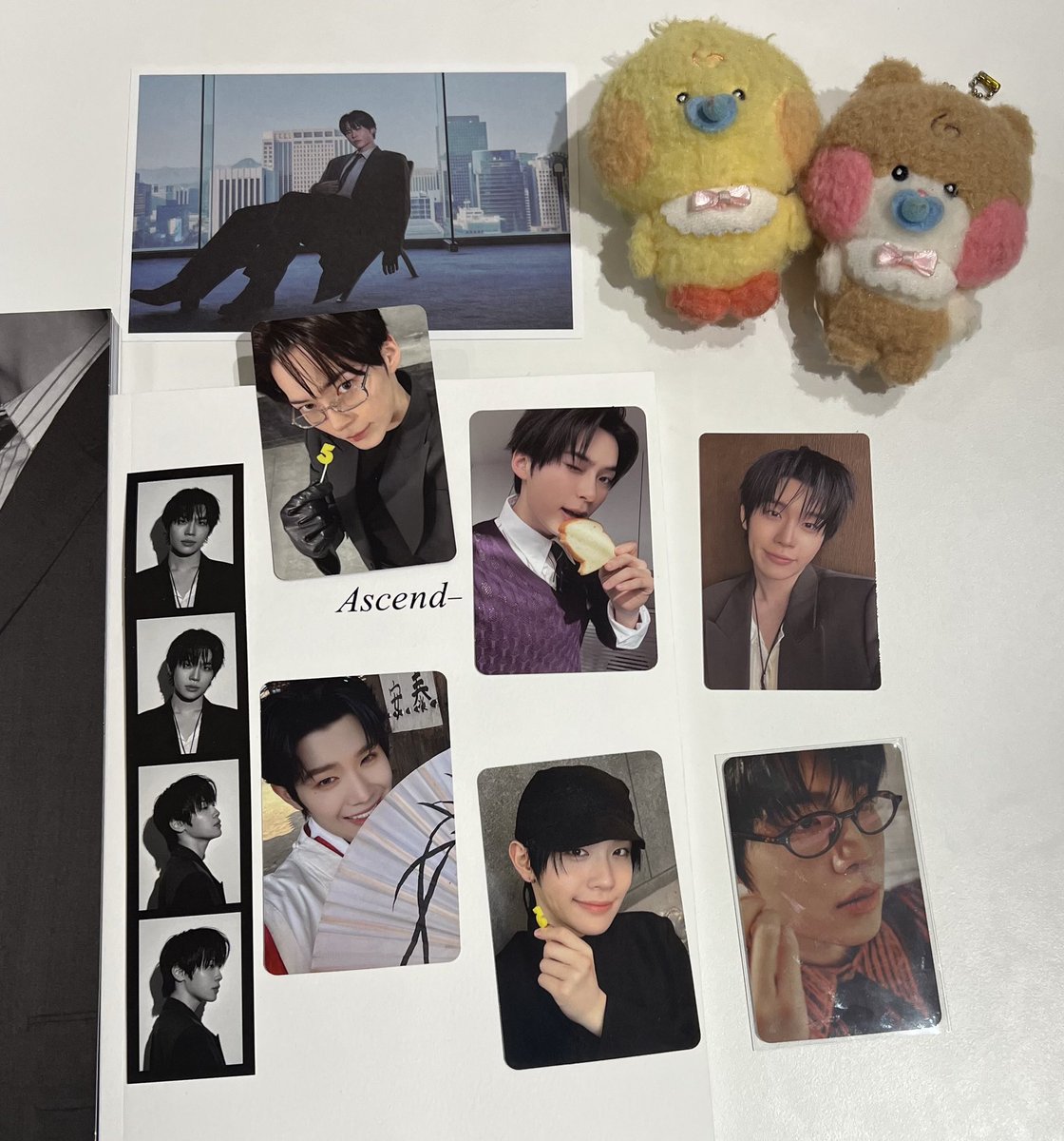 커피사탕 🦋🐝 tweet media