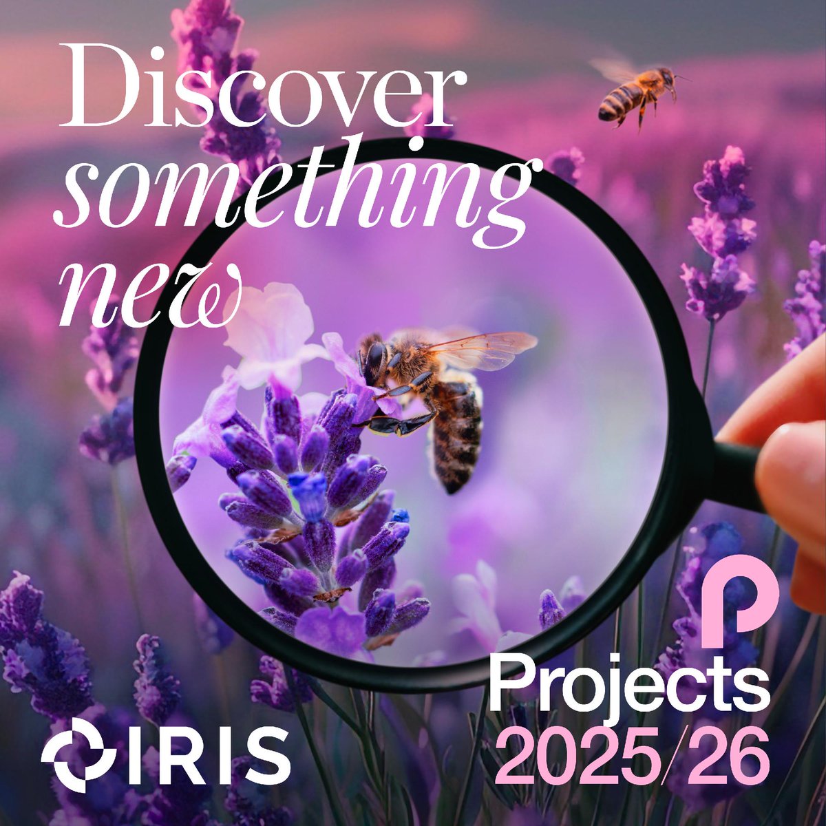 ResearchInSch's tweet photo. IRIS projects are cross-curricular, spanning subjects from geography to computer science. 🌍💻 

Many schools use #IRISProjects to enrich student’s learning by taking part in authentic research.

Explore our projects:
https://t.co/dBbZEeHq3k https://t.co/m7Yz81aNdn