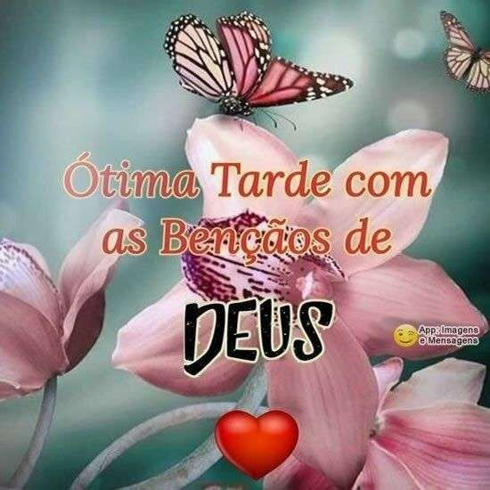 A Ferreira tweet media