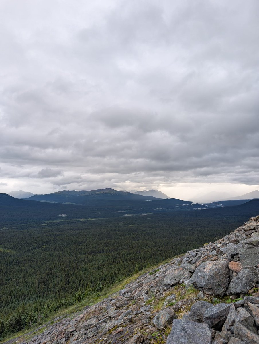 HiViewResources's tweet photo. Hi-View Resources Inc. continues advancing its growing Toodoggone copper-gold portfolio, with the recently announced engagement of AI-powered targeting firm Windfall Geotek to accelerate porphyry discovery across its 27,000+ hectare land package in British Columbia, Canada.

As global focus on securing North American copper and gold supply chains intensifies, Hi-View is applying cutting-edge artificial intelligence and modern exploration techniques to one of BC's premier emerging mining districts. Highlights of Hi-View's Toodoggone portfolio include:

🔶 5th largest landholder north of Kemess in the Toodoggone District 
🔶 27,791 hectares of 100% owned and optioned projects 
🔶 Soil samples returning up to 673 ppm Cu, 93 ppm Mo, and 0.531 ppm Au at Lawyers East 
🔶 Strategically positioned adjacent to Centerra Gold's Kemess Complex and Amarc/Freeport's AuRORA porphyry discovery

#Gold #Copper remains central to the global energy transition and defence supply chains.

Join us and subscribe for updates at 👉 https://t.co/tyZ7Hjhf6I 

$GXLD.C 🇨🇦 $GXLDF 🇺🇸 $B630🇩🇪