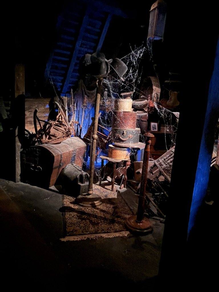 csmithdisney's tweet photo. Hat rack in the attic scene of the Haunted Mansion, showing where all of the hats from husbands' missing heads went. Also hat boxes. Some of my favorite details. #WDW #Disney #Disneyworld #Disneyland #WaltDisneyWorld #MagicKingdom #HauntedMansion https://t.co/J8JZXCsYDz