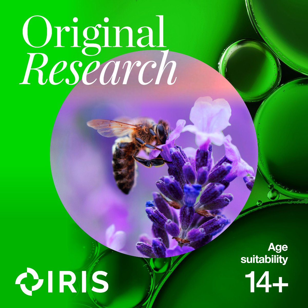 ResearchInSch's tweet photo. IRIS projects are cross-curricular, spanning subjects from geography to computer science. 🌍💻 

Many schools use #IRISProjects to enrich student’s learning by taking part in authentic research.

Explore our projects:
https://t.co/dBbZEeHq3k https://t.co/m7Yz81aNdn