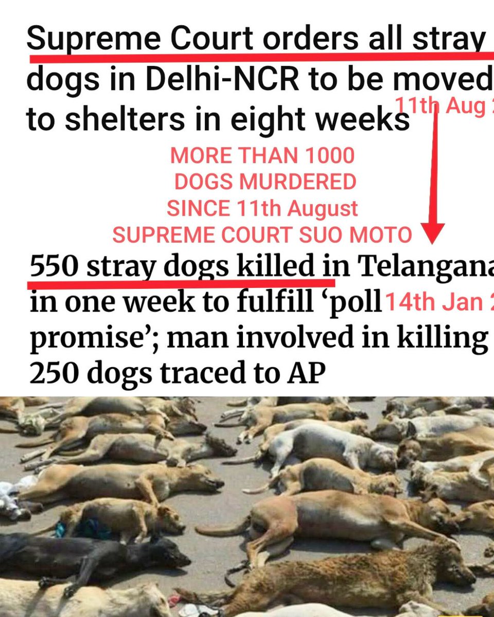 Dilthi Gujarati tweet media