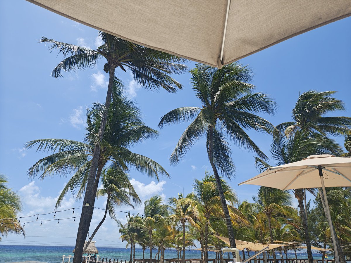 BoalPaul's tweet photo. I've dealt with worse views https://t.co/GyCL5Bu7Xn