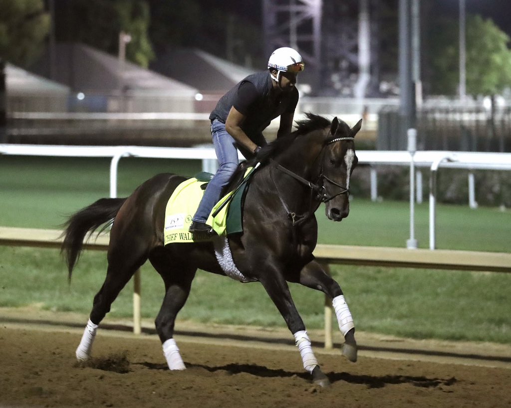 sdhorserace tweet media