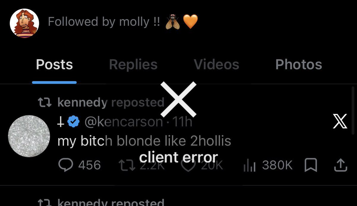 🪲 tweet media