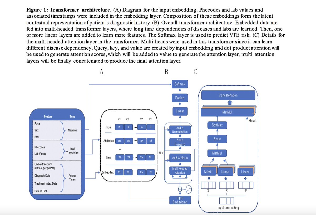 npj Digital Medicine tweet media